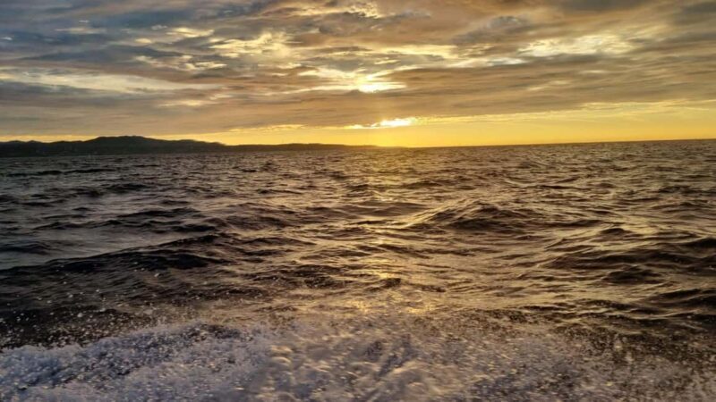 Puerto Escondido: The Best Adventure for Dolphin Watching - Why This Tour Is Worth Your Time