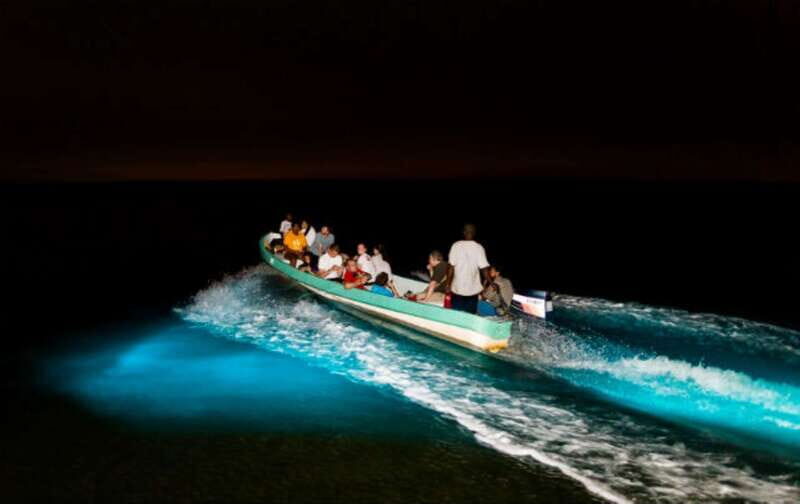 Puerto Escondido: Turtle Release and Bioluminescent Plankton - Authentic Experiences vs. Organized Tours