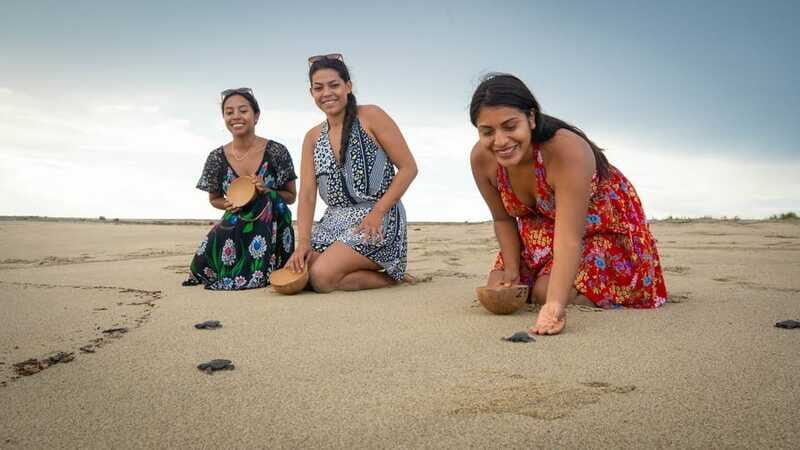 Puerto Escondido: Turtle Release and Bioluminescent Plankton - Who Will Love This Experience?