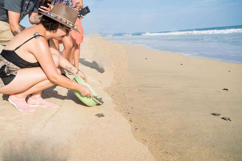 Puerto Escondido: Turtle Release Experience - Key Points