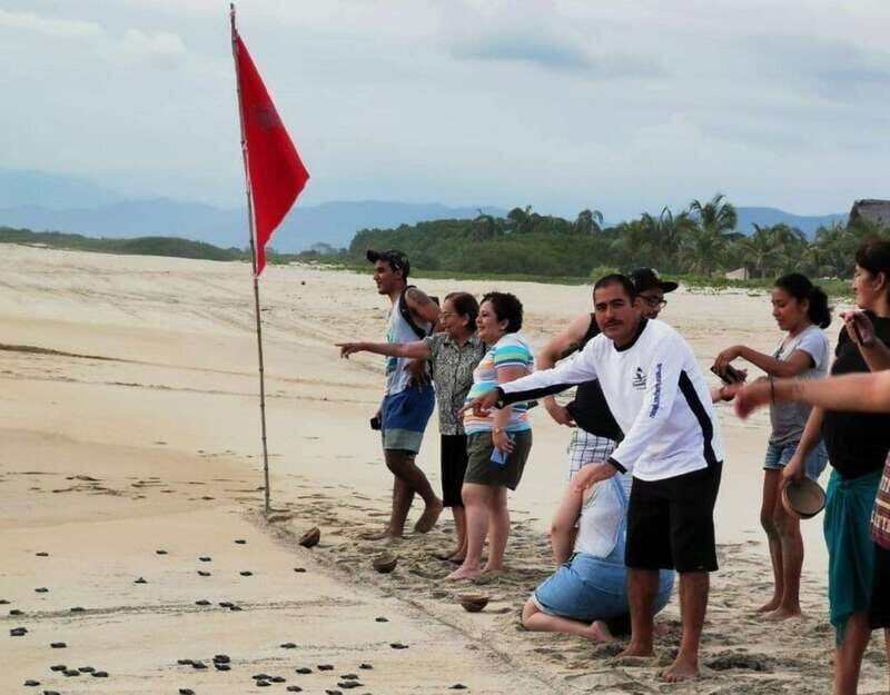 Puerto Escondido: Turtle Release Experience - FAQ