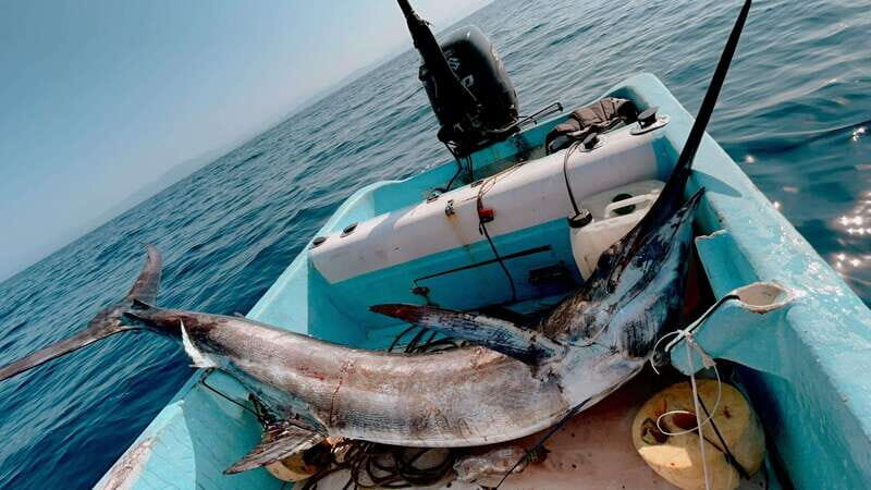 Puerto: Fishing Experience Marlin, Sailfish, Tuna or Dorado - The Logistics and Practicalities