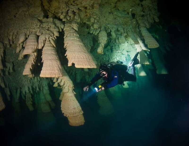 Puerto Morelo: Cenote Diving - FAQ