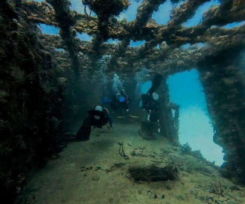Puerto Morelos: C-56 Shipwreck & Reef for Certified Divers - What’s Not Included
