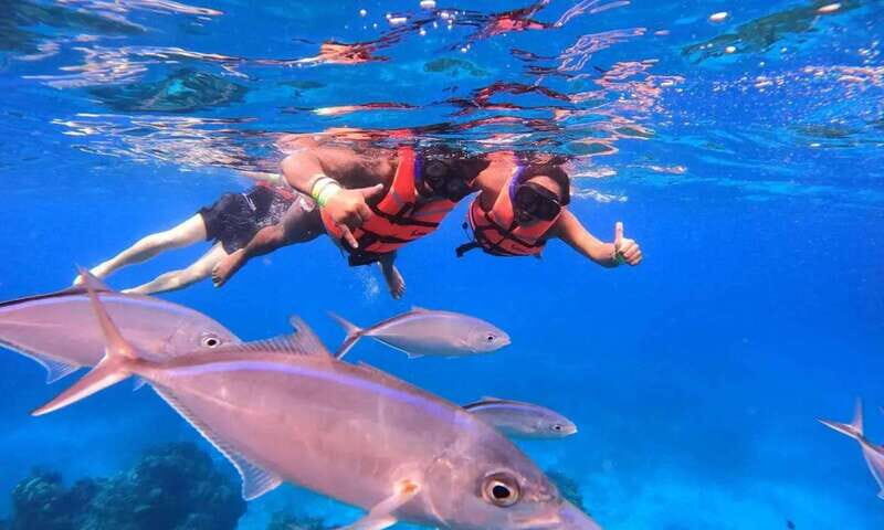 Puerto Morelos: Guided Snorkeling Tour with Gear & Fees - Why This Snorkeling Tour Stands Out