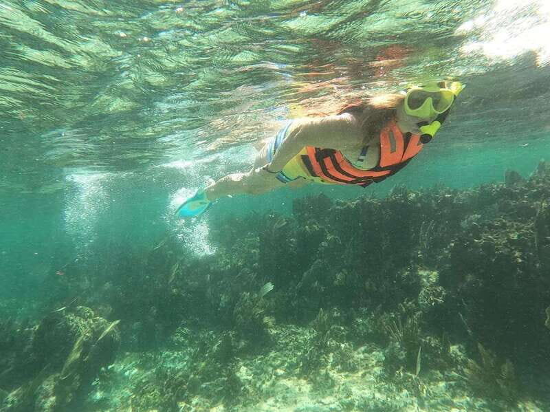 Puerto Morelos: Guided Snorkeling Tour with Gear & Fees - Who Is This Tour Best For?