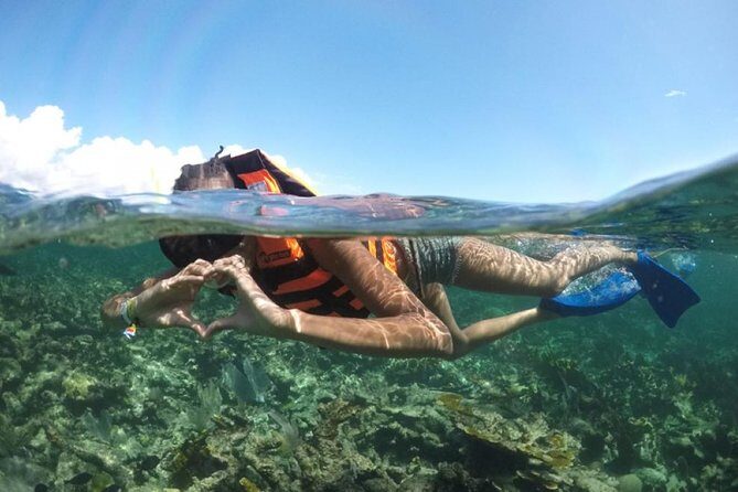 Puerto Morelos Reef Snorkeling Tour with Lunch - Key Points
