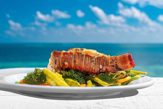 Puerto Morelos Reef Snorkeling Tour with Lunch & Hotel Pickup - The Itinerary: What You Can Expect