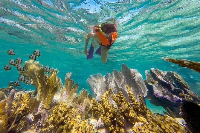 Puerto Morelos Reef Snorkeling Tour with Lunch & Hotel Pickup - Authentic Experiences from Fellow Travelers