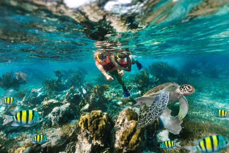 Puerto Morelos: Reef Snorkeling Trip with Beachside Lunch - What Past Travelers Say