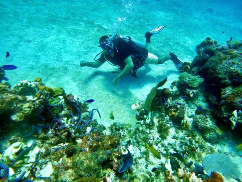 Puerto Morelos: Scuba Experience with Gear & Instructor - Key Points