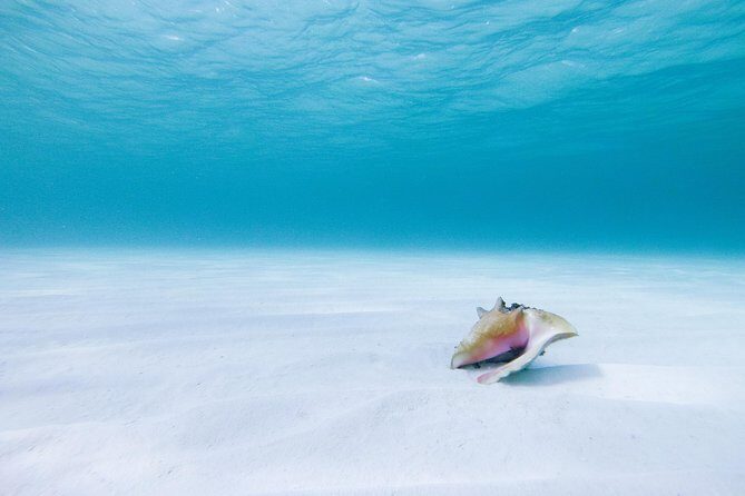 Puerto Morelos Secret Sandbar Catamaran Sail - What Travelers Say: Authentic Voices
