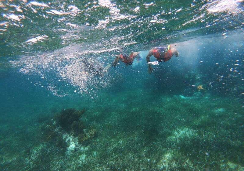 Puerto Morelos: Snorkel in Coral Reef with transportation - What We Like and What Could Improve