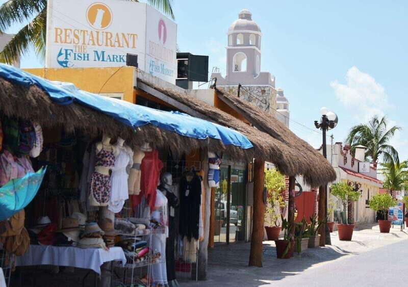 Puerto Morelos: Snorkel in Coral Reef with transportation - Who This Tour Is Best For