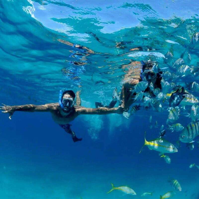 Puerto Morelos: Snorkeling at The National Reef Park - An In-Depth Look at the Experience