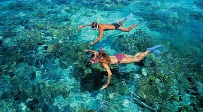 Puerto Morelos: Snorkeling at The National Reef Park - Final Thoughts