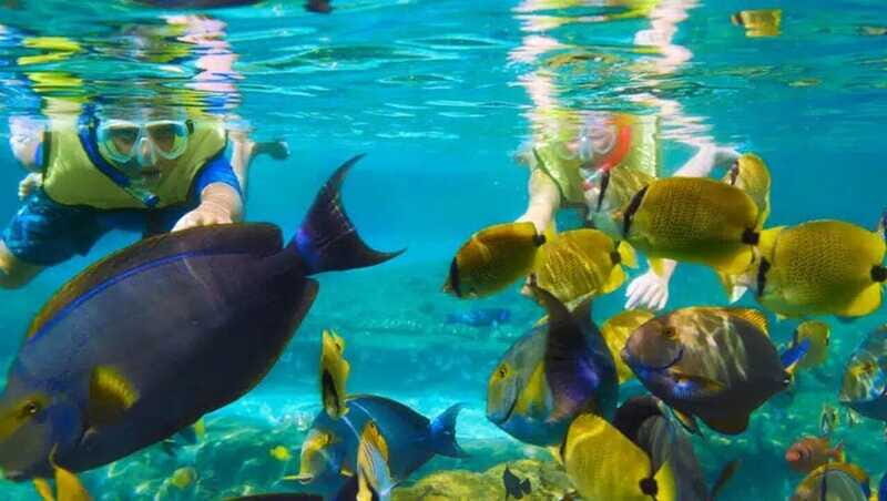 Puerto Morelos: Snorkeling at The National Reef Park - FAQs