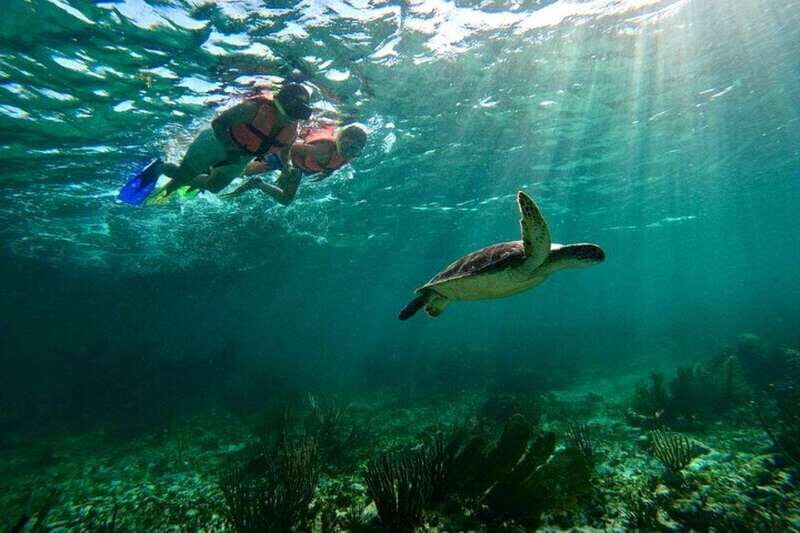 Puerto Morelos: Snorkeling Guided Activity - The Itinerary: What to Expect on Your Snorkeling Day