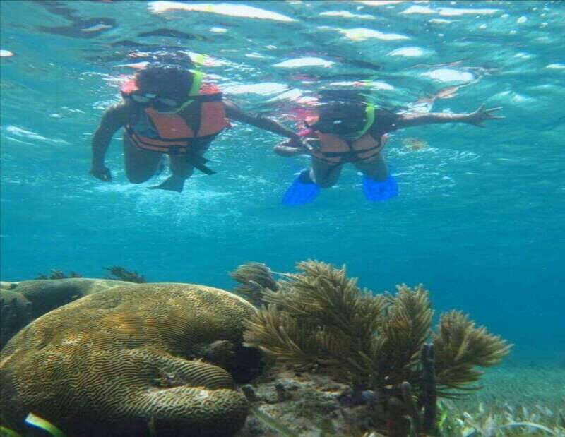 Puerto Morelos: Snorkeling Tour - Why This Tour Offers Good Value