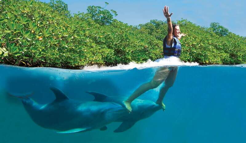 Puerto Morelos: Swim with dolphins Primax - The Sum Up