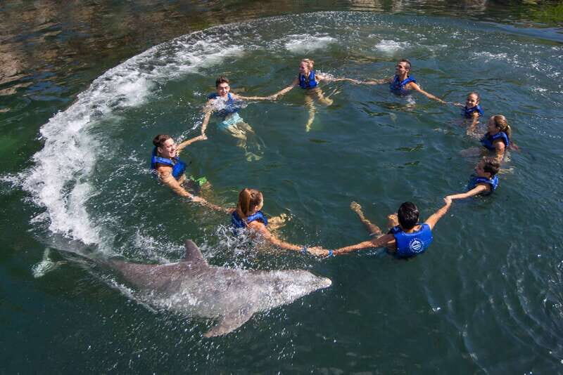 Puerto Morelos: Swim with Dolphins - Practical Tips for Visiting
