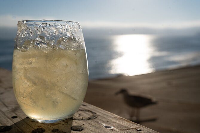 Puerto Nuevo Lobster and Tequila Tour - Final Thoughts: Is This Tour Right for You?