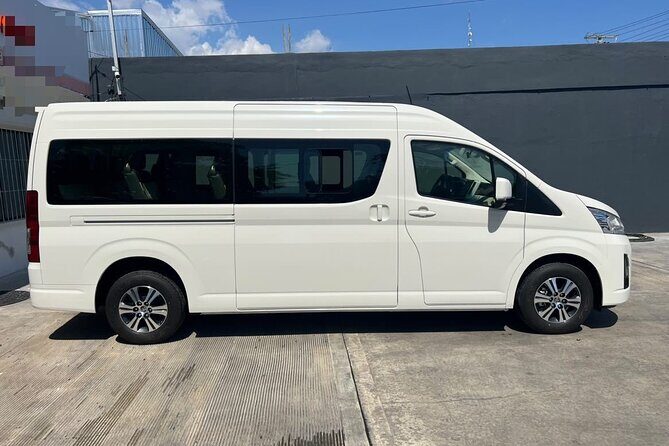Puerto plata airport transfers to lifestyle resorts ect - Who Would Benefit Most?