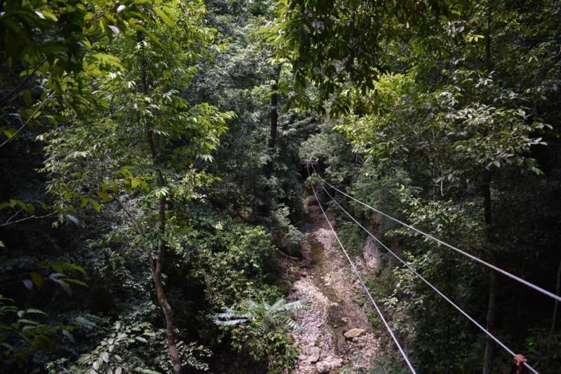 Puerto Plata/Amber Cove: Zipline and Waterfalls with Lunch - Key Points