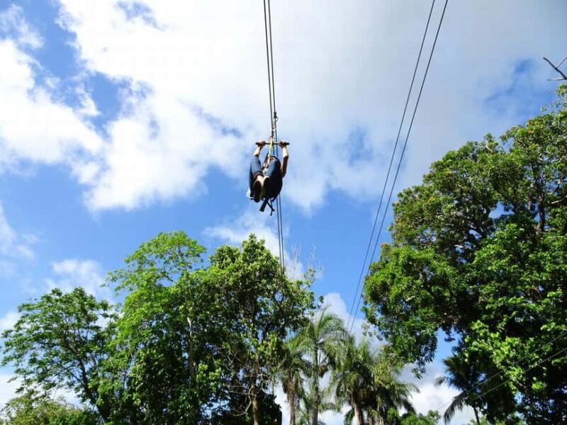 Puerto Plata ATV N Zip Adventure | Shore Excursion & Hotel - The Sum Up