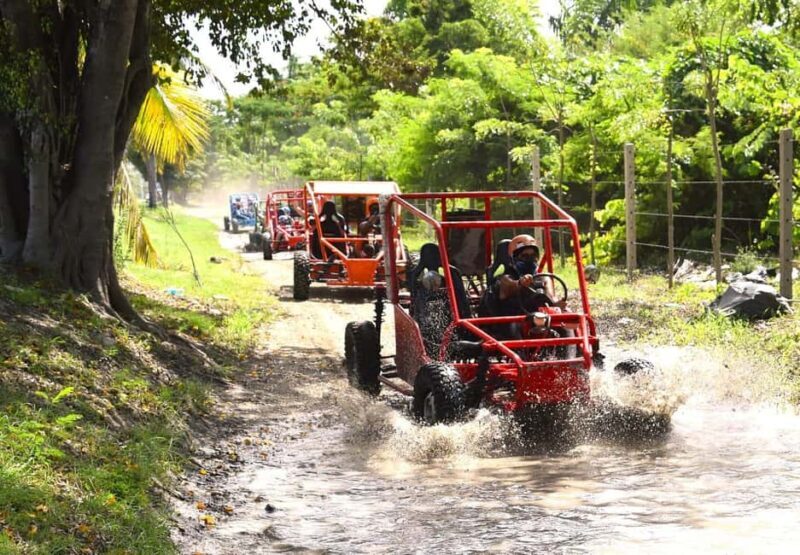 Puerto Plata: Buggy Adventure with Local Guide - FAQ