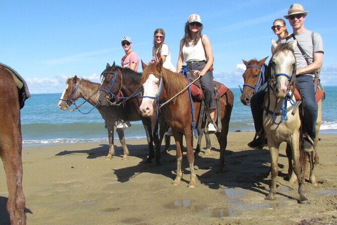 Puerto Plata City Horseback Riding Tour ,Rios,Beaches and Countryside - An Honest Look at the Puerto Plata City Horseback Riding Tour
