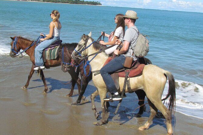Puerto Plata City Horseback Riding Tour ,Rios,Beaches and Countryside - The Practical Details: Price, Duration, and Logistics