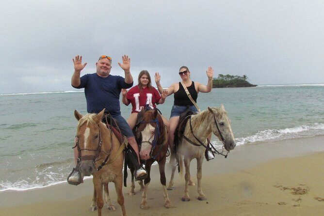 Puerto Plata City Horseback Riding Tour ,Rios,Beaches and Countryside - The Sum Up