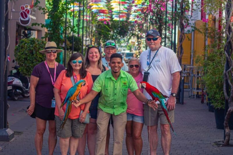 Puerto Plata City Tour - Introduction: What You Can Expect from the Puerto Plata City Tour