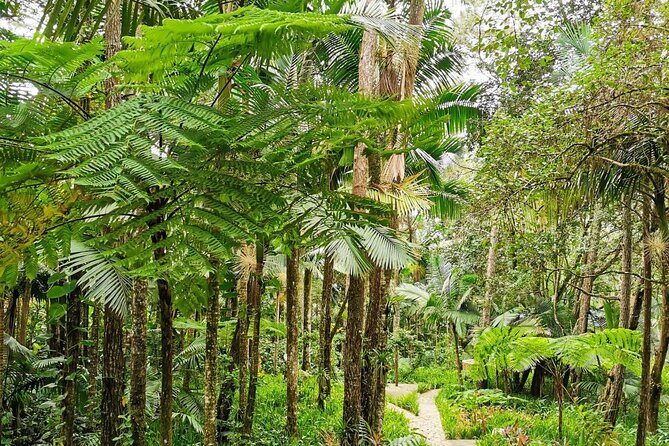 Puerto Plata City Tour with the Mount Isabel, Rum & Chocolate - An Honest Look at the Itinerary and Experience