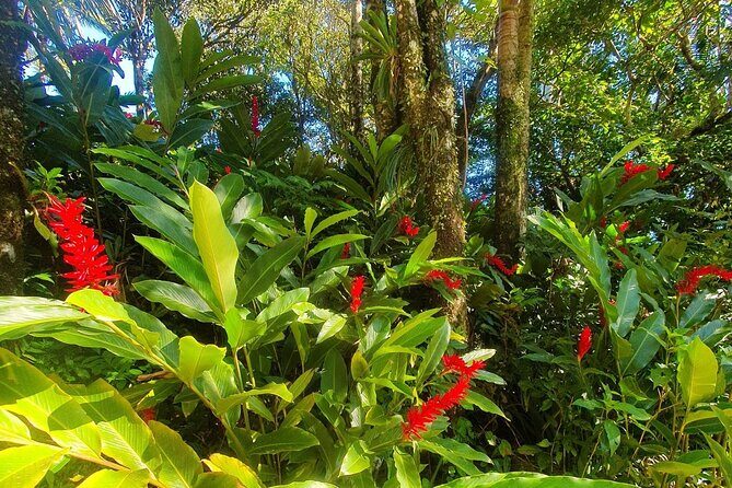 Puerto Plata City Tour with the Mount Isabel, Rum & Chocolate - Value and Cost Analysis