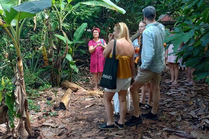 Puerto Plata Cultural City Tour Half Day Experience - An In-Depth Look at the Puerto Plata Cultural City Tour