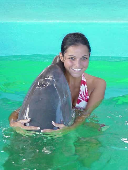 Puerto Plata: Dolphin Encounter at Ocean World - Puerto Plata: Dolphin Encounter at Ocean World – A Practical Guide to an Engaging Marine Adventure