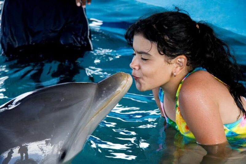 Puerto Plata: Dolphin Encounter at Ocean World - A Complete Overview of the Ocean World Dolphin Encounter
