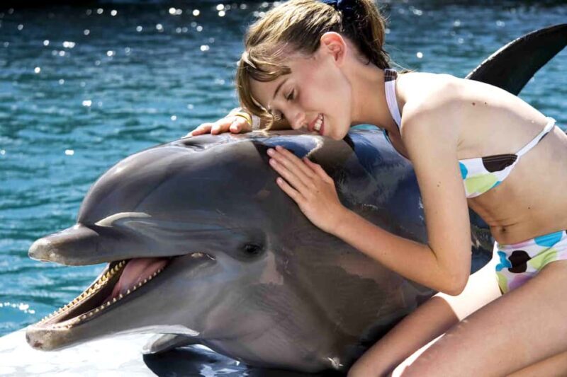 Puerto Plata: Dolphin Encounter at Ocean World - The Sum Up: Is It Worth It?