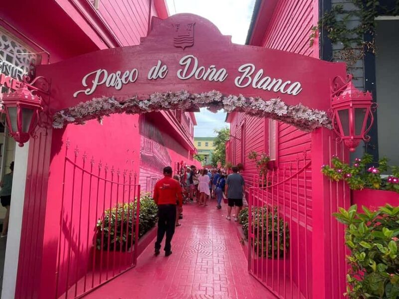 Puerto Plata: Half-Day Historic and Cultural Highlights Tour - Final Thoughts: Who Will Enjoy This Tour?