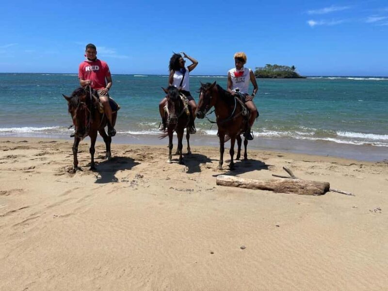 Puerto Plata: Horseback Riding Tour - An In-Depth Look at the Puerto Plata Horseback Riding Tour