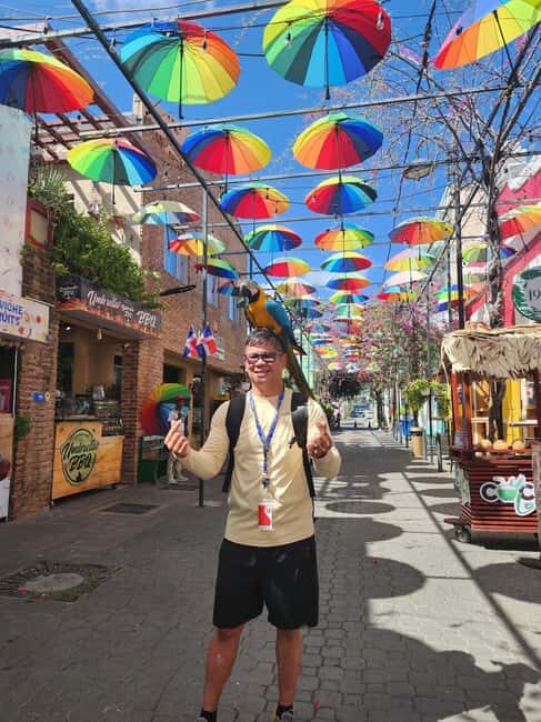 Puerto Plata: Monkey Tour, Fortress, and Historic Center - Authentic Traveler Insights