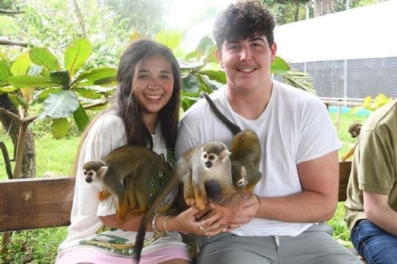 Puerto Plata: Monkey Tour, Fortress, and Historic Center - Frequently Asked Questions