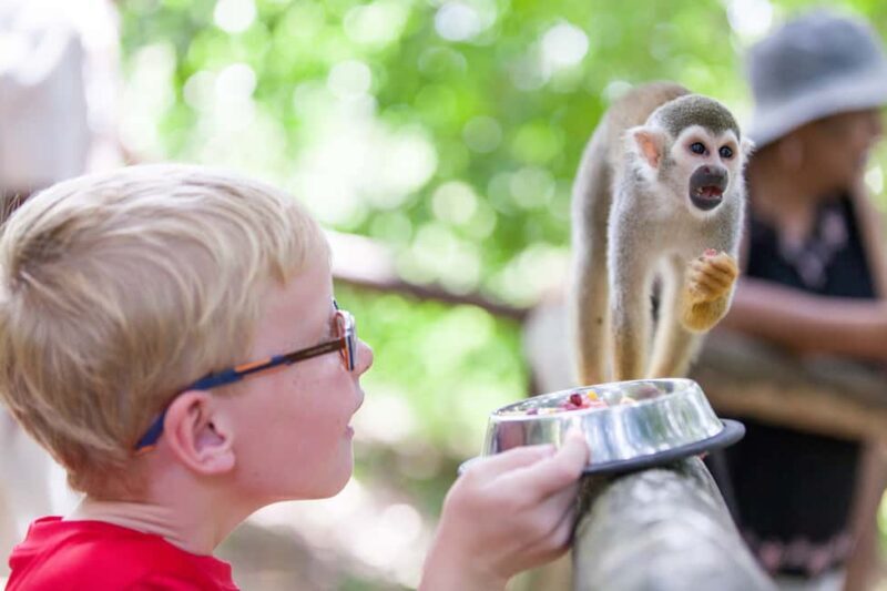 Puerto Plata: Monkeyland and Zip-Line Adventure - Key Points
