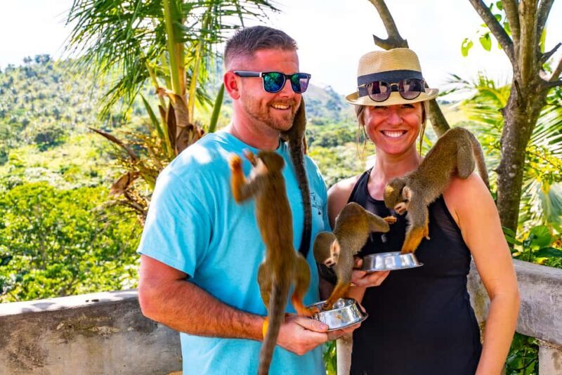 Puerto Plata: Monkeyland and Zip-Line Adventure - An Adventure That Combines Excitement and Authentic Encounters