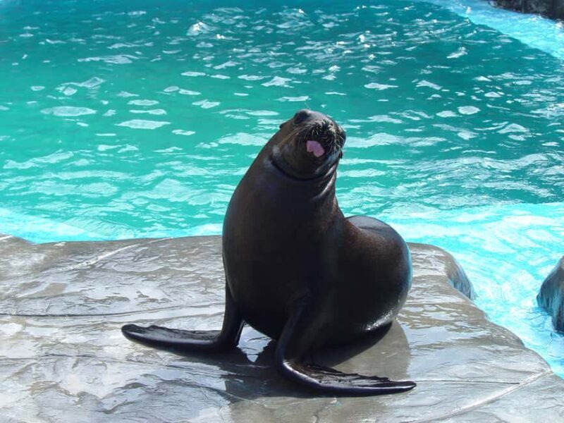 Puerto Plata: Ocean World Adventure Park Day Pass - An Intro to Ocean World Adventure Park