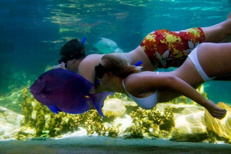 Puerto Plata: Ocean World Adventure Park Day Pass - Practical Details and Tips for Visiting
