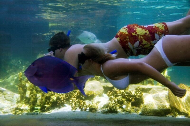 Puerto Plata: Ocean World Adventure Park Day Pass - Authentic Perspectives from Visitors