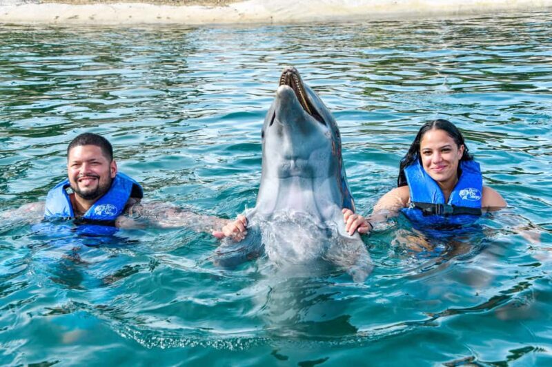 Puerto Plata: Ocean World Adventure Park Swim with Dolphins - Introducing the Ocean World Adventure Tour